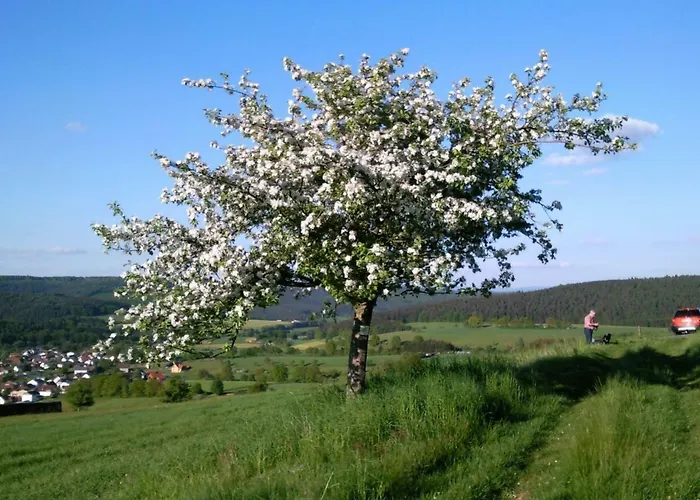 Familie Schultheis Marjoss